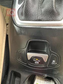 جيب رينيجيد